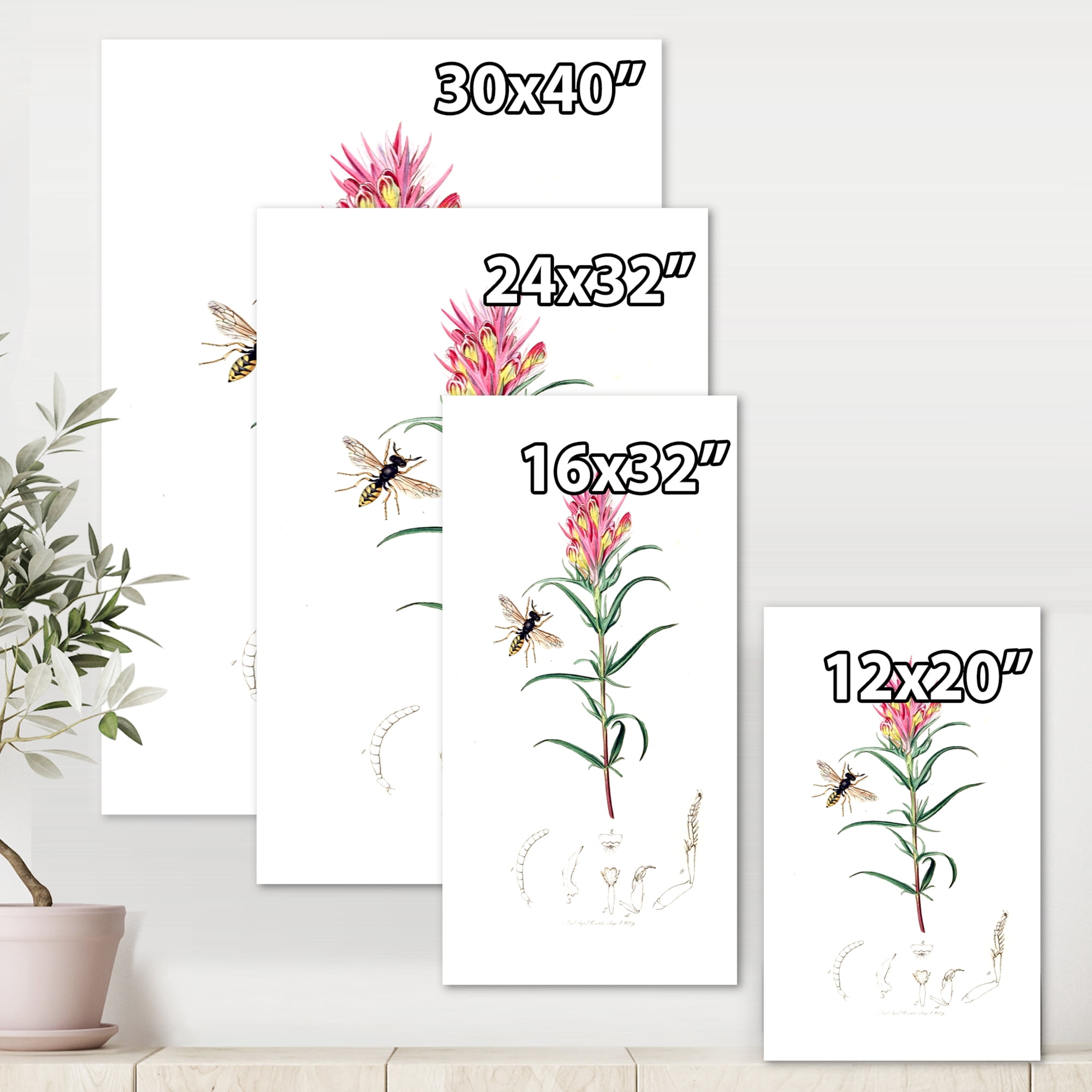 Designart ' Ancient Insects and Plants I ' Farmhouse Canvas Wall Art Print