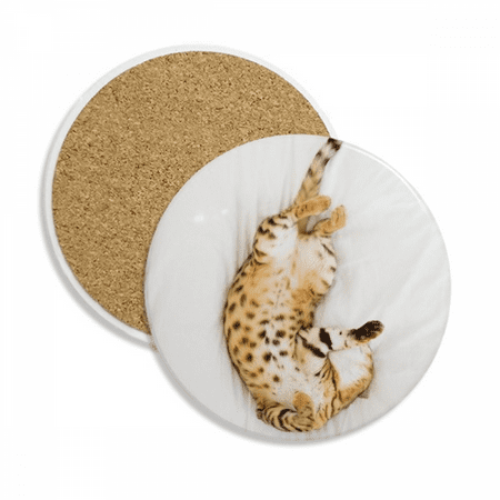 

Animal Ocelot Cat Photograph Shoot Coaster Cup Mug Tabletop Protection Absorbent Stone