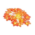 thumbnail image 1 of Naiovety Guirnalda de luces LED, adorno de calabaza, lámparas de noche de hojas de otoño, guirnalda de hojas para exteriores, Acción de Gracias, Kits de decoración para fiestas Tipo3 Naiovety HA042451-03, 1 of 6