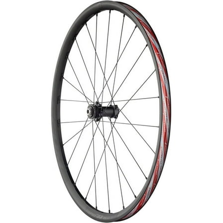 Fulcrum Rapid Red 3 DB Front Wheel - 650, 12 x 100mm, Center-Lock, Black