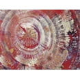 thumbnail image 2 of Art.com Petrified Wood, Close-Up Stretched Canvas Print Wall Art, 16" x 12", 2 of 4