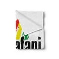 thumbnail image 2 of Rasta Soft Flannel Fleece Blanket, Reggae Rastafari Lettering on Grunge Design Flag Colors Backdrop Art Print, Cozy Plush for Indoor and Outdoor Use, 60" x 80", Red Green and Yellow, by Ambesonne, 2 of 5
