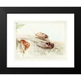 thumbnail image 2 of Edward Julius Detmold 24x19 Black Modern Framed Museum Art Print Titled - The Cicada (1921), 2 of 5