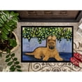 thumbnail image 3 of Carolines Treasures SS8180JMAT Briard Doormat 24x36 36"L x 24"W multicolor, 3 of 4