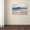 thumbnail image 3 of Trademark Fine Art 'Indigo Isle' Canvas Art by Julia Purinton, 3 of 3