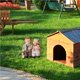 thumbnail image 2 of Bearachild Pareja de Ancianos Escultura de Resina Anciano Cálido Tome un Paseo con Estatuilla de Perro Adorno de Resina Exquisita Estatua de Pareja de Jardín y Patio Bearachild HA019476-00, 2 of 6