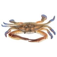 thumbnail image 4 of Model Crab Marine Animal Model Figure Ocean Model Toy Educational Animal Toys For Kids, 4 of 8