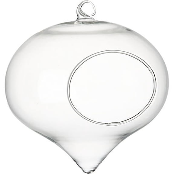 Clear Glass Hanging Terrarium Orb, Teardrop Shape Planter for Air Plants, Succulents, Candle Holder, Home Decor