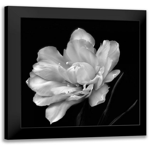 Britt, Charles 12x12 Black Modern Framed Museum Art Print Titled - Summers Surprise