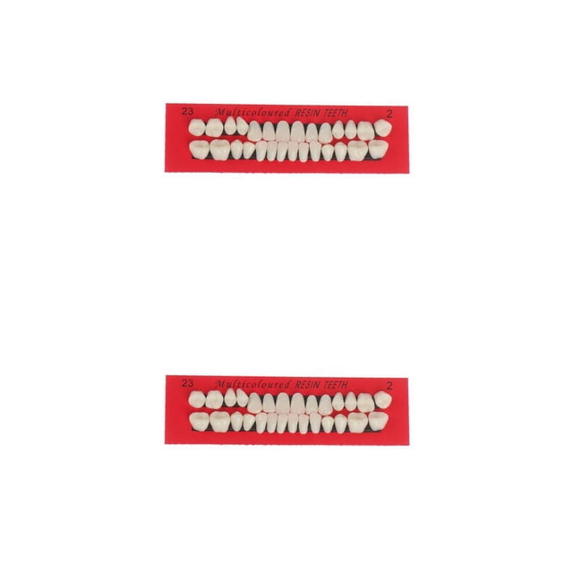 Soidarity 28 unids/set modelo de de resina dentaduras duraderas postizos universales Resi No.1 2piezas Soidarity CBP588902