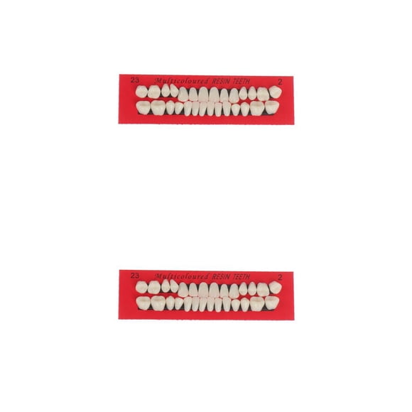 Vogacara 28 unids/set modelo de de resina dentaduras duraderas postizos universales Resi No.1 2piezas