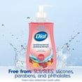 thumbnail image 4 of Dial Antibacterial Liquid Hand Soap, Pomegranate Tangerine Scent, 325ml, Dermatologist Tested, pH Balanced, Free from Silicones, Parabens, Phthalates, SLES/SLS, 4 of 9