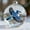 Blue Jay, variant on Nature’s Birds Crystal Glass Ornament Set, Hummingbird Ornaments for Christmas Tree Cardinal Bird Glass Clear Plastic Christmas Balls Xmas Tree Memorial Gifts, Holiday Family(Hummingbird)