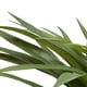 thumbnail image 2 of planta artificial decorativa con maceta gris de cemento, 2 of 4