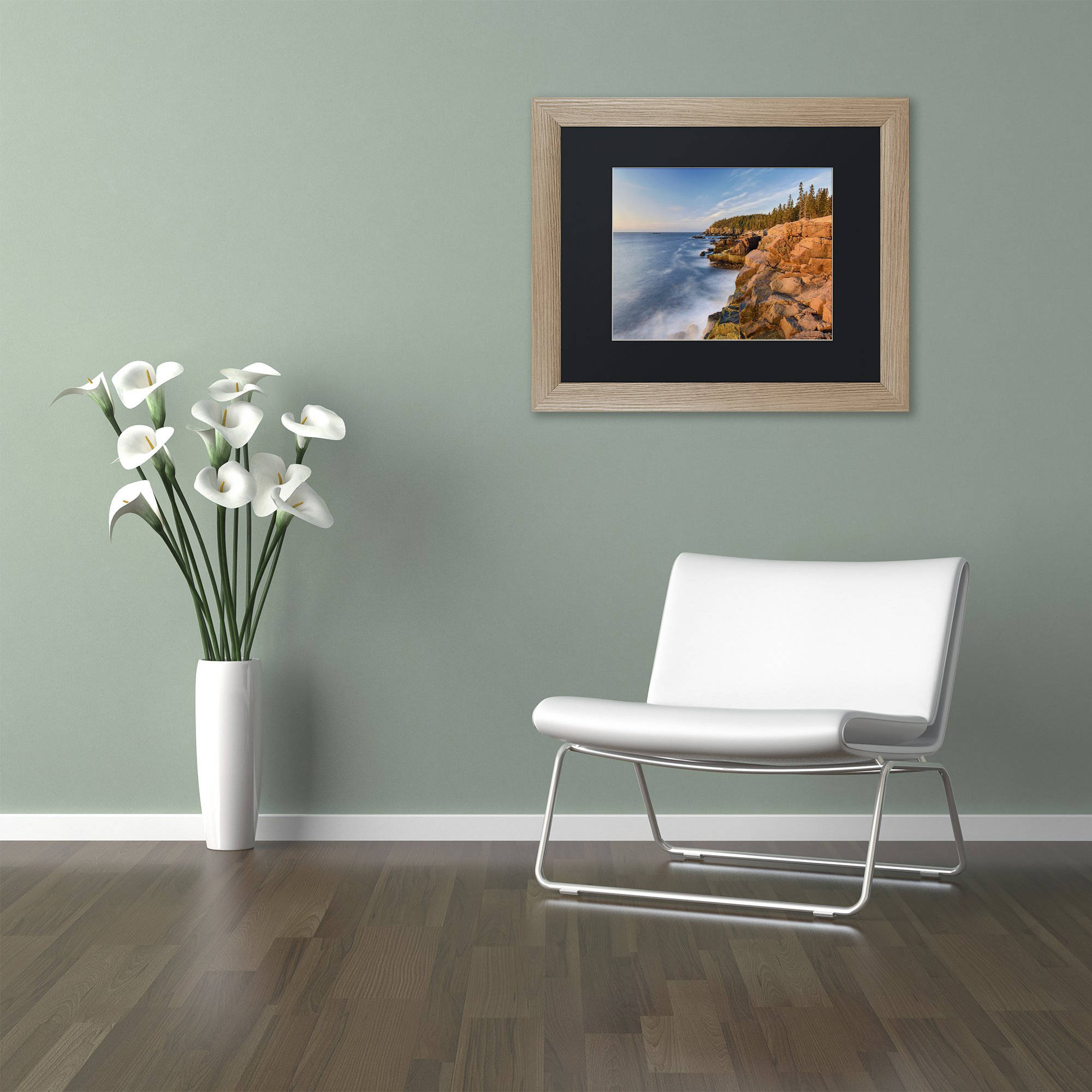 Trademark Fine Art "Acadia Sunrise" Canvas Art by Michael Blanchette Photography Black Matte, Birch Frame