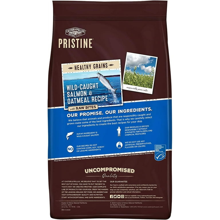 Castor Pollux Pristine Wild Caught Salmon Oatmeal Dry Dog Food