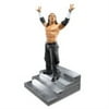 Wwe Unmatched Fury Figure