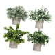 thumbnail image 1 of Plantas artificiales Macarena 4 piezas en maceta Bonsái Estilo C, 1 of 8