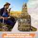 thumbnail image 5 of Bolsa De Pecho Molle Mochila Molle impermeable para el pecho para hombre para viajes de senderismo (Jungle Digital) Tmvgtek Para Estrenar, 5 of 6