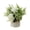 White, variant on SPRING PARK Silk Artificial Rose Flower Potted Plant Wedding Home Party Decor