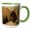 Green/White, variant on 3drose, Bison Profile, Lamar Valley, Yellowstone National Park, Wyoming, Usa, 11oz Two-tone Green Mug