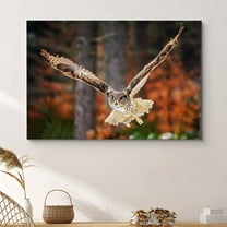 PixonSign Framed Wall Art Print Owl Flies in Autumnal Forest Animals Wildlife Photography Realism Rustic Landscape Dramatic Multicolor Cool for Living Room, Bedroom, Office - 32"x48"
