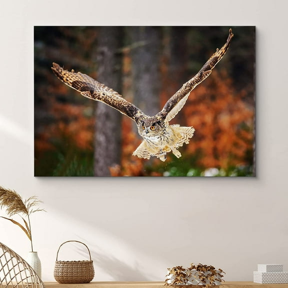 PixonSign Framed Wall Art Print Owl Flies in Autumnal Forest Animals Wildlife Photography Realism Rustic Landscape Dramatic Multicolor Cool for Living Room, Bedroom, Office - 32"x48"
