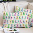 thumbnail image 2 of Easter Bunny Pillow Covers 16"x24", Colorful Rabbits Love Heart Vintage Country Soft Brushed Microfiber Breathable Throw Pillow Covers, Decorative Pillowcase with Zipper for Couch Sofa Bedroom, 2 of 9