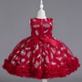 thumbnail image 3 of LOVZFMLL Girls' Summer Short Sleeve Ruffled Lace Round-Neck Embroidery Mesh Princess Bow Skirt, 3 of 3