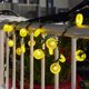 thumbnail image 4 of Guirnalda de luces de decoración de limón, 10 pies 20 LED, luces de hadas nocturnas para el hogar/habitación/boda/fiesta/decoración de jardín, etc. Vhermosa WMZY-1107, 4 of 4