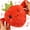Orange, variant on Interactive Musical Sensory Toys, Soft Parent Child Musical Plush Toys with Sounds, Baby Sensory Activity Learning Educational K*-id Toy for Multiplayer Interaction, B-oy G-irl Gifts