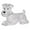 Clear, variant on Pet Hair Memorial Keychain Transparent Storage Bottle Keepsake Pendant for Dog Lovers Unique Keepsake Idea