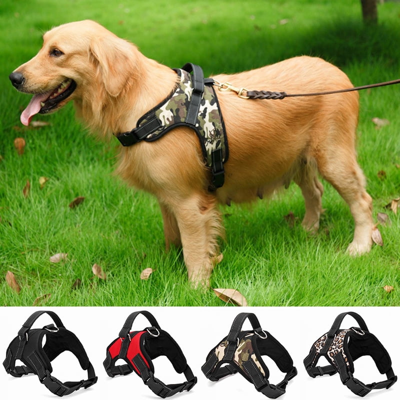 dog harness for puppy