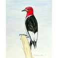 thumbnail image 2 of Betsy Drake Woodpecker 12.5-inch x 18-inch Flag, 2 of 2