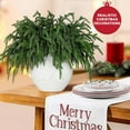 thumbnail image 2 of 12 Pcs Realistic Christmas Pine Branches Natural Droopy Soft Bendable Artificial Pine Stems Picks Lifelike Greenery Stems for Vases Cedar Wreaths Garland Outdoor Indoor Christmas Decorations, 2 of 8