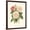 Brown Frame, variant on Art.com Vintage Roses II Art Print by Vision Studio, 12" x 16"