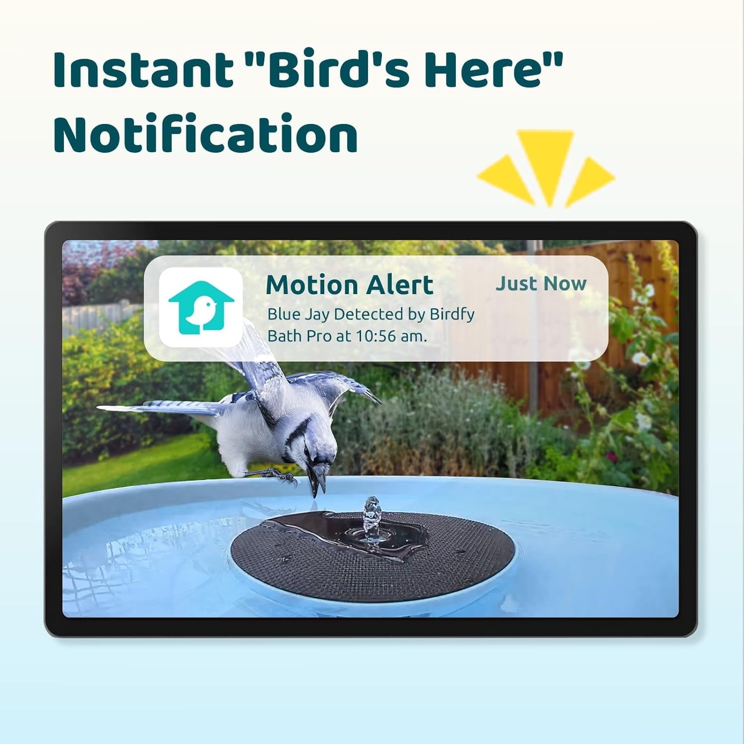 Birdfy Bird Bath with Camera, Solar Powered, Round Pond Fountain, 1080P HD Bird Camera Auto Capture Bird Bath Videos, Blue