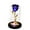 Blue, variant on Chmadoxn Romantic Valentine's Day Gifts for Mom from Daughter, Eternal Glass Flowers Gift, Galaxy Roses with Rainbow Light Lasts Love in Glass Dome for Mom Wedding Anniversary Birthday Mother's Day