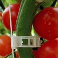 thumbnail image 3 of EternaNest 100Pcs Garden Plant Clips, Plant Ties, Vine Twine, Trellis, Vegetable, 3 of 5