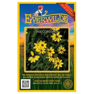 seed planting kits Pet Tiny Terracotta Grow Kits  Seeds 'n Such