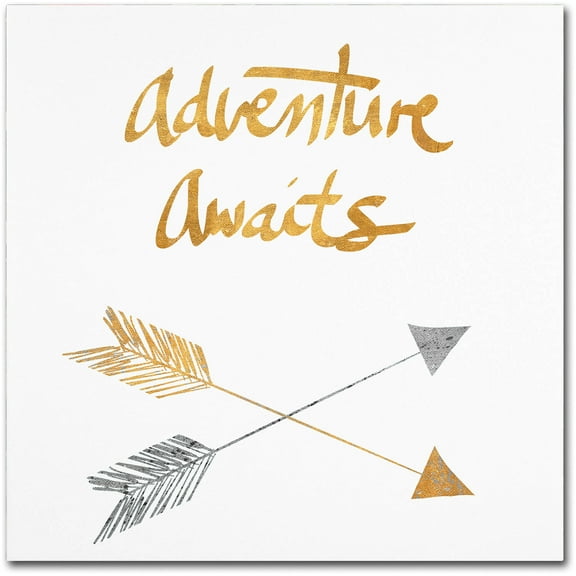 Trademark Fine Art "Adventure Arrows" Canvas Art by Lisa Powell Braun