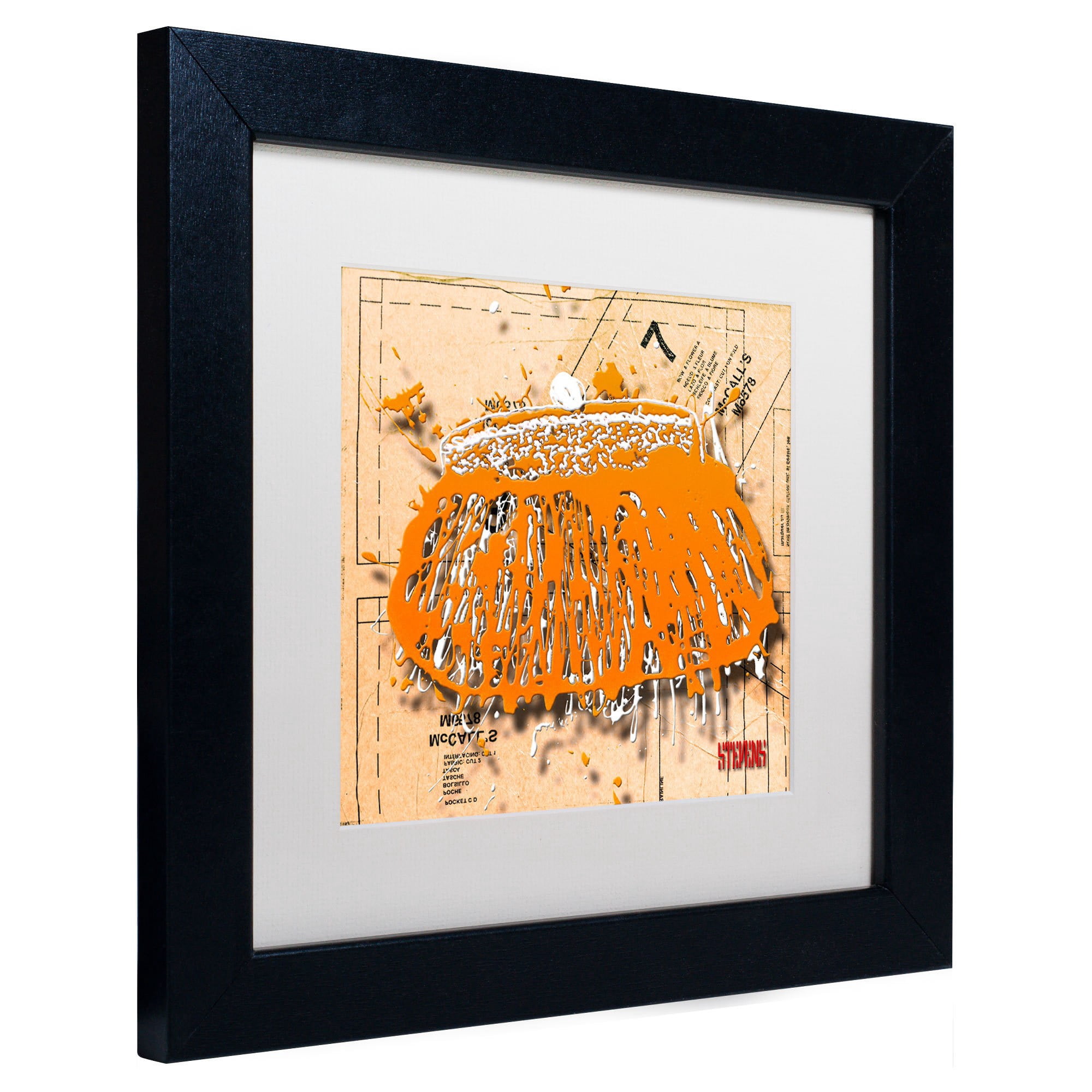 Trademark Fine Art "Snap Purse Orange" Canvas Art by Roderick Stevens, White Matte, Wood Frame