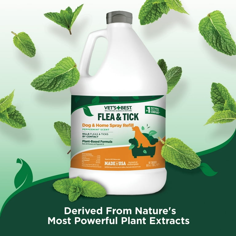 Best flea spray for home walmart hot sale