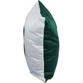 thumbnail image 3 of Michigan State Spartans 16 inch Reversible Decorative Pillow, 3 of 4