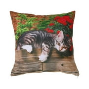 Maison Concepts Polyester Digital Print Cushion (Lazy Cat) (18 X 18) - Set of 2