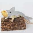 thumbnail image 3 of Meidiya Lizard Clothes for Bearded Dragon - 3Pack Shark Costume Outfit Handmade Lizard Shark Apparel Skin Protection for Lizard Bearded Dragon Crested Gecko Chameleon Reptile, 3 of 6