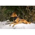 thumbnail image 3 of Hurtta Weekend Warrior Dog Harness, Raven, 18-24 in, 3 of 8
