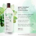 thumbnail image 3 of Bain de Terre GREEN MEADOW BALANCING CONDITIONER 1L, 3 of 8