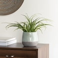 thumbnail image 3 of Torre & Tagus 902108B Corsica Ceramic Crackle 2 Tone 4-Inch Round Pot, Blue, 3 of 4