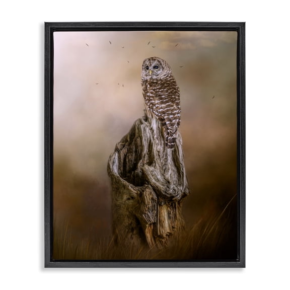 Stupell Industries Farmhouse Barred Owl Perched Tree Trunk Nature Black Floating Frame Canvas Art, 17 x 21, by Kelley Parker